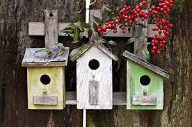 Color In Bird Houses And Bird Feeders