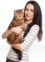 Cat care clinic ei tegutse valdkondades veterinaarid ja loomakliinikud. The Cat Care Clinic Veterinary Services Orange Ca Cat Hospital Health Veterinarian