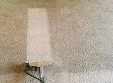 green carpet cleaning in inglewood