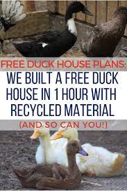 Free Duck House Plans We Built A Free