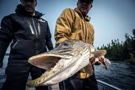 Top 10 Lures For Trophy Northern Pike