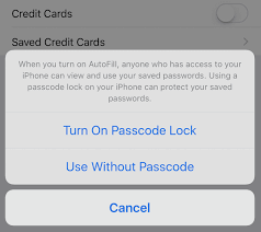 Credit card saved on iphone. Start Using Iphone Autofill How To Appletoolbox