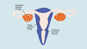 how does birth control impact ovulation