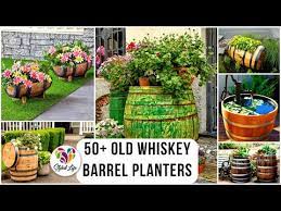 50 Old Whiskey Barrel Planters Latest