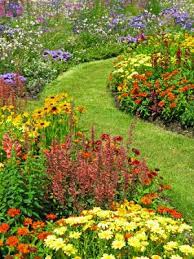 beautiful flowers garden