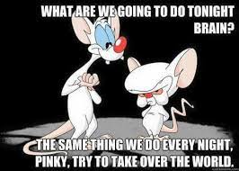 The same thingwedo every night, pinky, try to take over the world. 11 Pinky And Brain Ideas Pinky Animaniacs Cartoon
