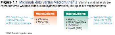 Macronutrients are nutrients the body needs in large amounts, because they provide the body with energy. Macronutrients And Micronutrients Diet Database