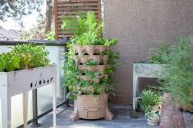 How To Start A Balcony Vegetable Garden