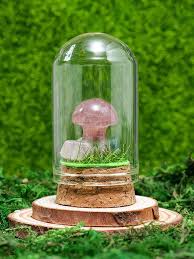 1pc Mushroom Glass Dome Cloche Cover