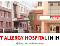 Image result for Allergy Hospitals