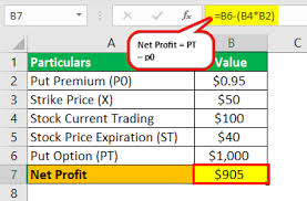 put option meaning explained