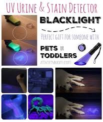 How To Find And Clean Pet Urine This Blacklight Will Change Your Life