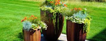 container gardens in your landscape design