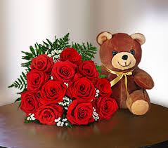cuddly today bunch of 12 red roses