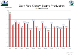 Red Kidney Beans Production By Year Us