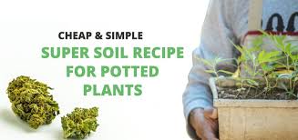 super soil recipe for potted plants