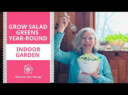 Indoor Salad Garden 7 Steps To