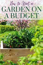 Gardening On A Budget Beds And Dirt