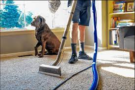 carpet cleaning thornton matty s