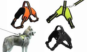 Up To 64 Off On No Pull Adjustable Dog Walkin Groupon