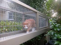 how to get your catio on