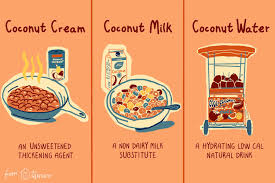 coconut cream milk