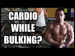 how to perform cardio while bulking