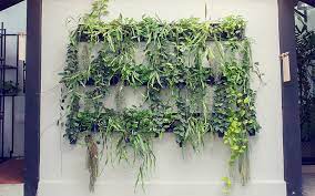Living Wall And Vertical Planter