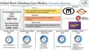 Rock Climbing Gym Market Share Growth