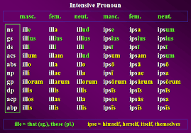 File Latin Ille And Ipse Png Wikimedia Commons