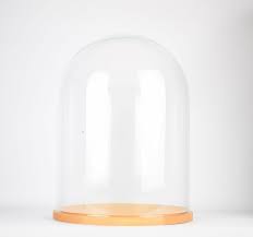 Large Glass Display Cloche Bell Jar Dome