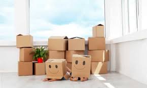 Image result for removalists