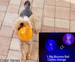 Sheraton Luxuries 2 Big Light Up Bounce Balls For Dogs