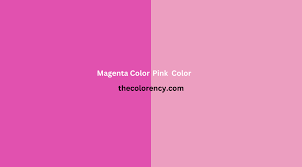 is magenta pink or purple find out now