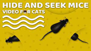 cat games mouse hide and seek mice