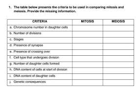 chromosome number in daughter cells