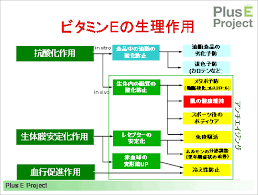 関連画像