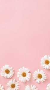 Pastel Pink Flower iPhone Wallpapers ...