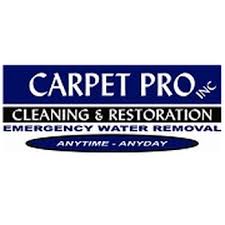 carpet pro cleaning services 3550