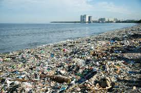 Image result for garbage in manila bay