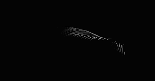Download, share or upload your own one! Minimal Dark Pictures Download Free Images On Unsplash