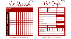 Pet Vaccination Records Printable Template Business Psd