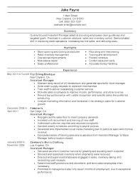 Professional Summary Resume Examples Sales On A Sample How To Write