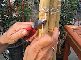 how to make a bamboo trellis how tos