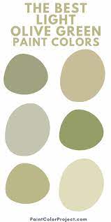 The Best Light Olive Green Paint Colors