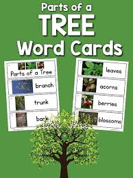 Parts Of A Tree Picture Word Cards Prekinders