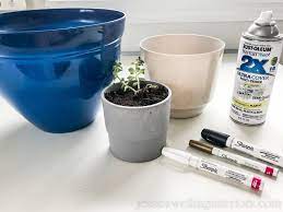 Diy Modern Indoor Plant Pots With Paint