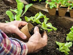 what is organic gardening complete