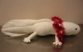 These free hat knitting patterns will keep your head warm and your style fresh. Axolotl Amigurumi 02 Axolotl Kawaii Crochet Custom Crochet