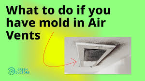 what to do if your have mold in air vents